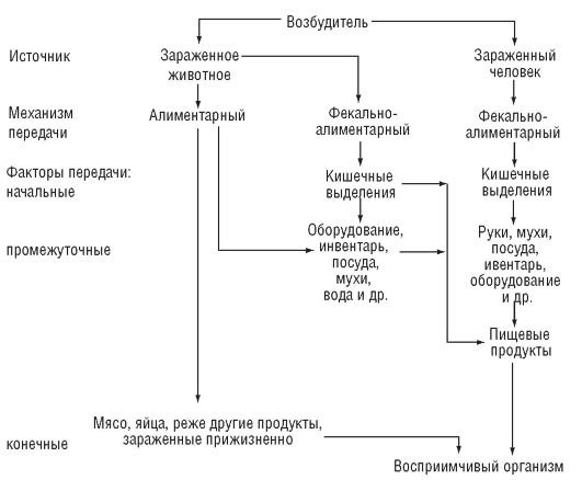 схема механизма передачи сальмонеллёза