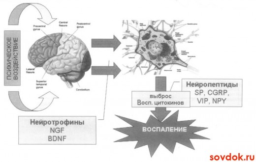 механизм появления психосоматического заболевания