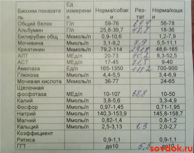 мочевина в биохимическом анализе крови