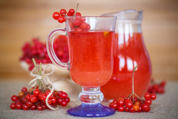 Морс из ягод калины