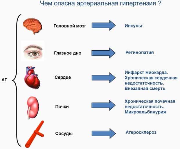 На картинке нарисовано, какие сбои и необратимые процессы могут произойти в жизненно – важных органах и системах.