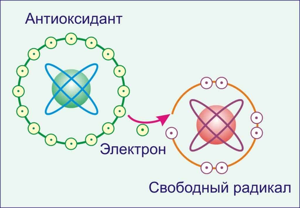 Наличие антиоксидантов