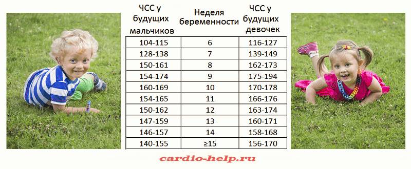 Нормальная частота сердцебиения плода во 2-3 триметре: от 120 до 160 уд/мин