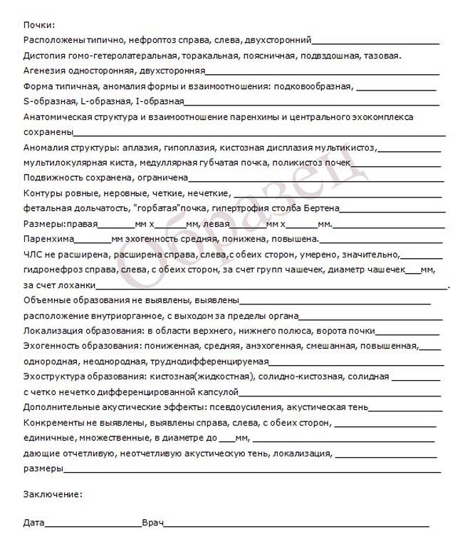 образец бланка УЗИ-обследования почек