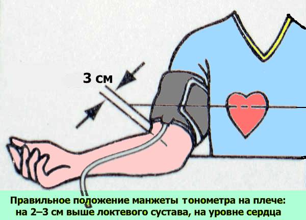 От правильной подготовки к использованию тонометра зависит точность результатов.