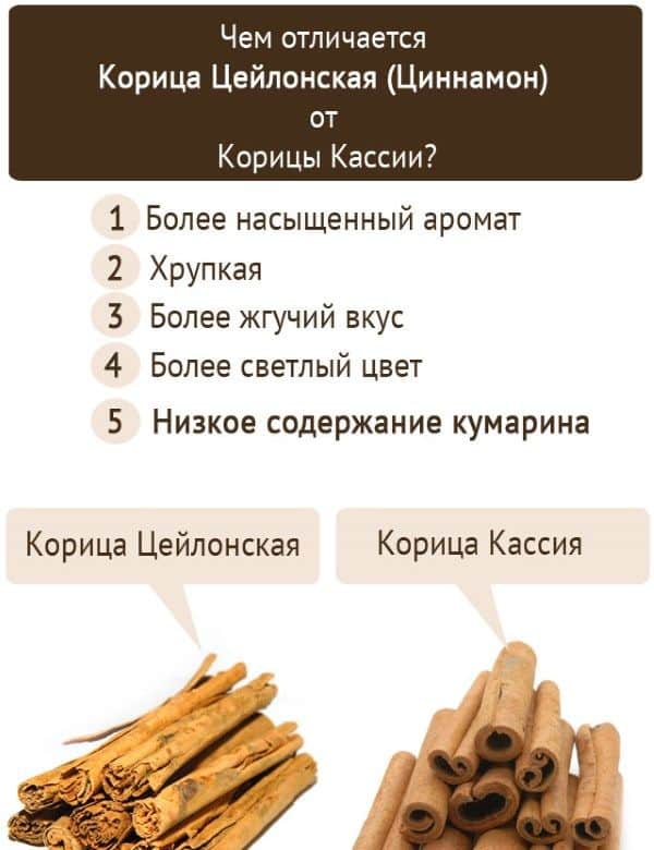 Отличия двух популярных видов корицы