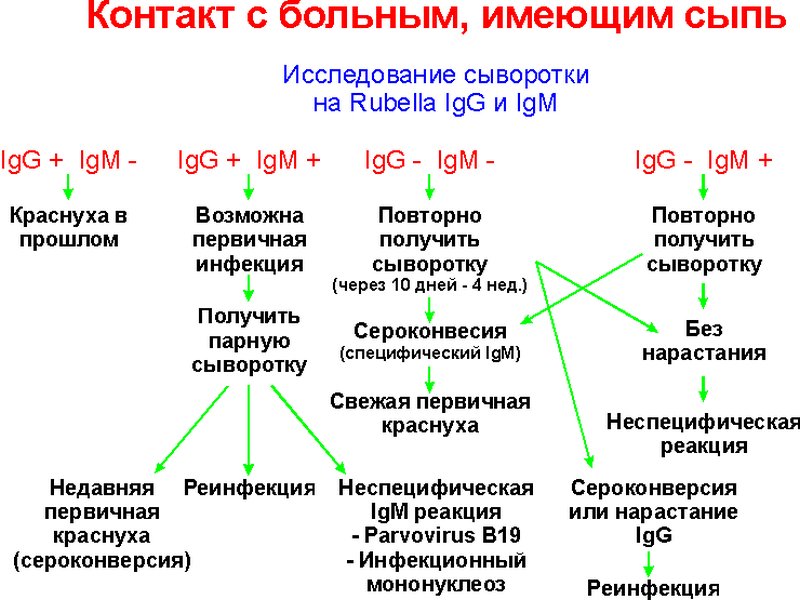 Схема расшифровки иммуноферментного анализа на антитела к краснухе