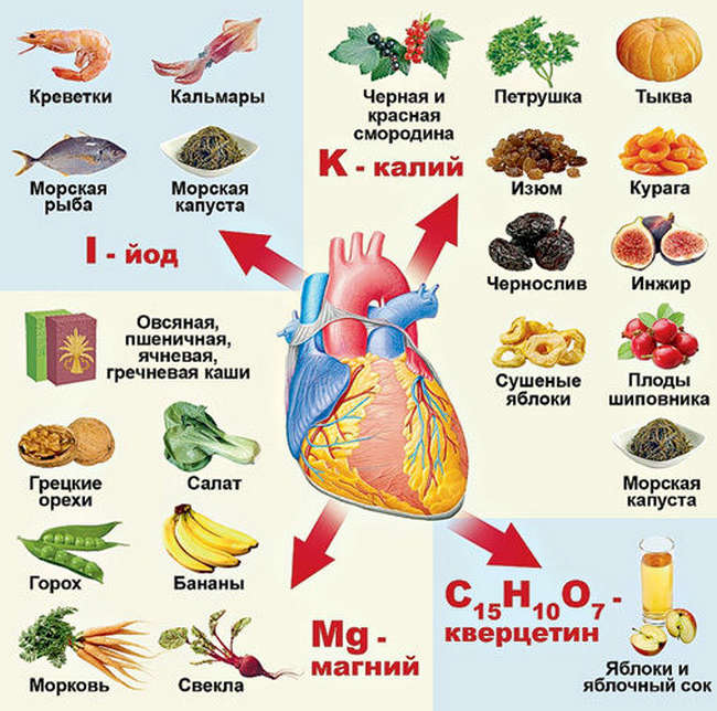 Полезные продукты для сердца
