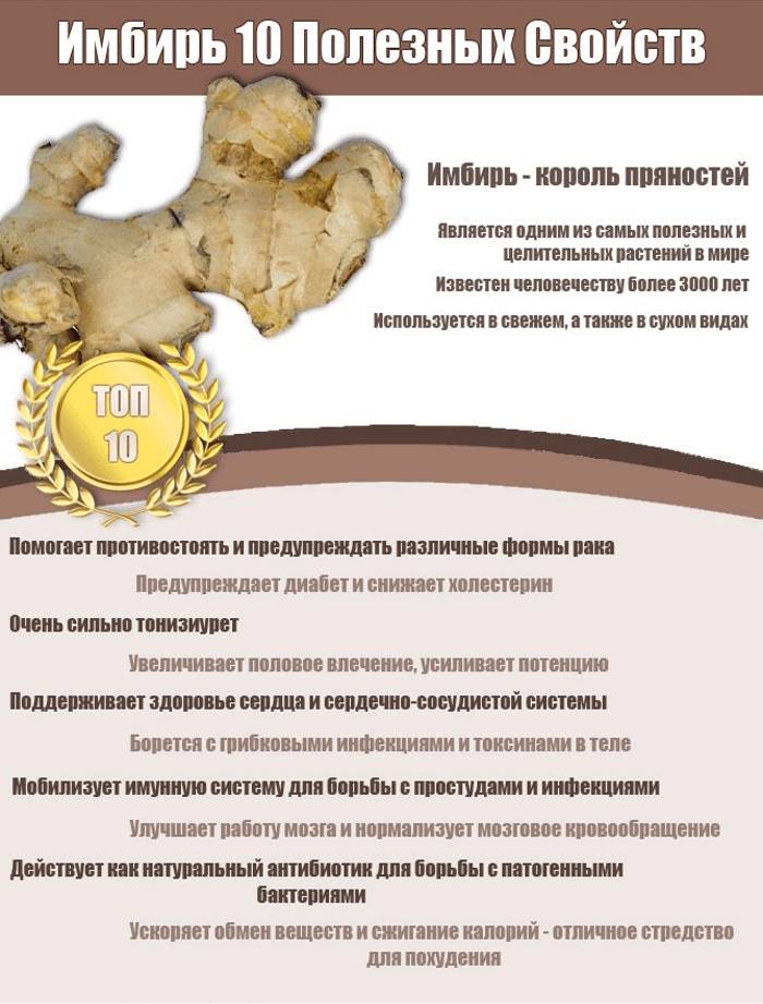 Полезные свойства имбиря