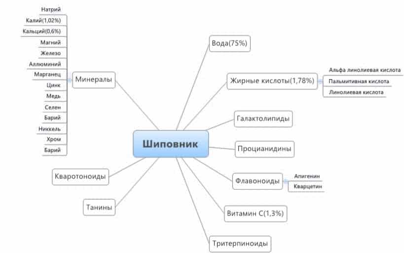 Полезные вещества, содержащиеся в шиповнике
