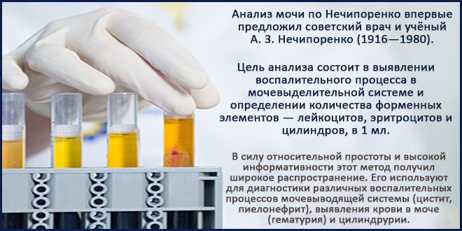 Описание пробы по Нечипоренко