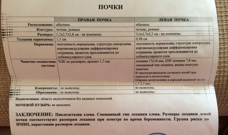Лист результатов УЗИ почек