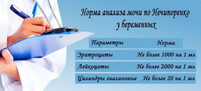 Нормальный анализ мочи по Нечипоренко у беременных