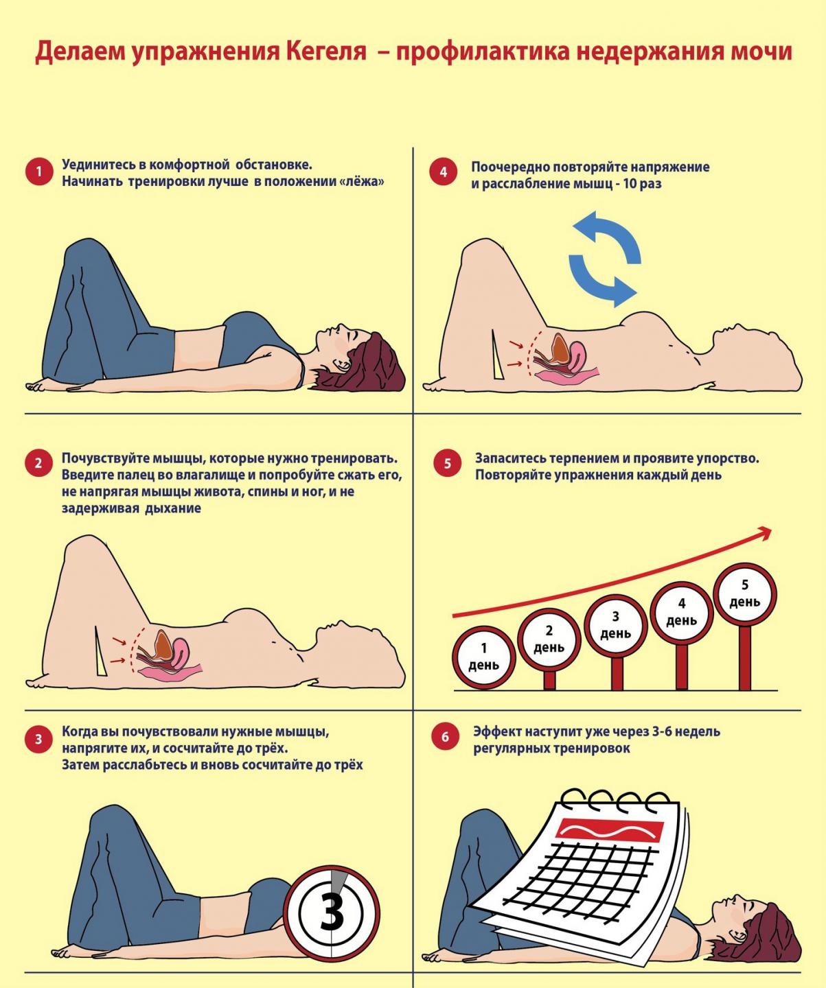 Упражнения Кегеля