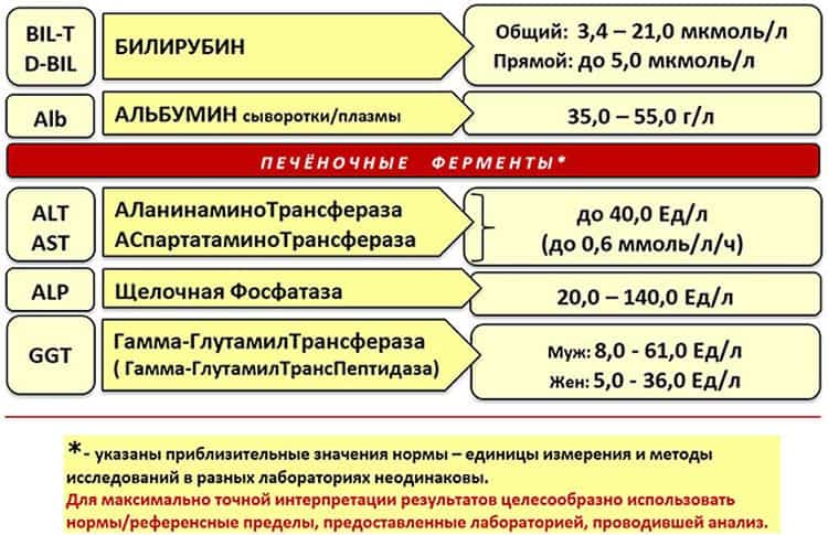 При диагностике синдрома проводят анализ на печеночные пробы