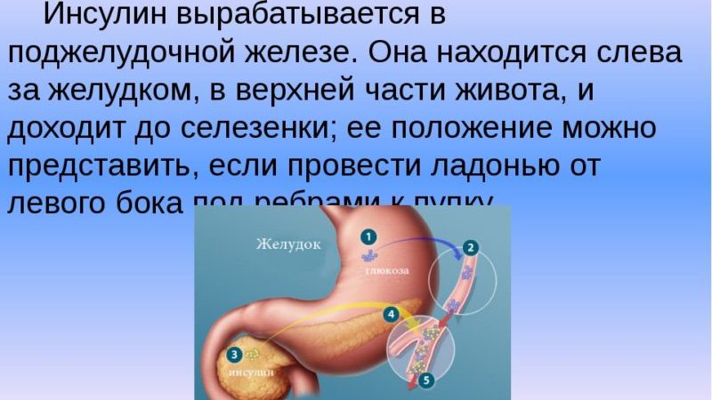 Причины недостаточности и как заставить поджелудочную железу вырабатывать инсулин