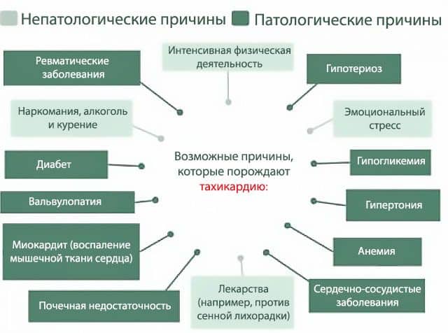 Причины ускоренного сердцебиения