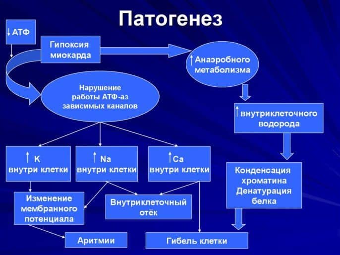 Причины возникновения гипоксии миокарда