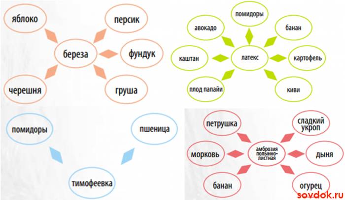 примеры аллергенов