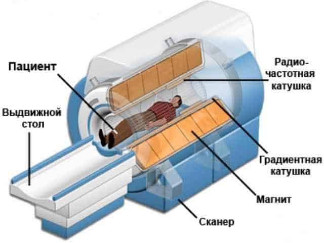 Принцип устройства томографа