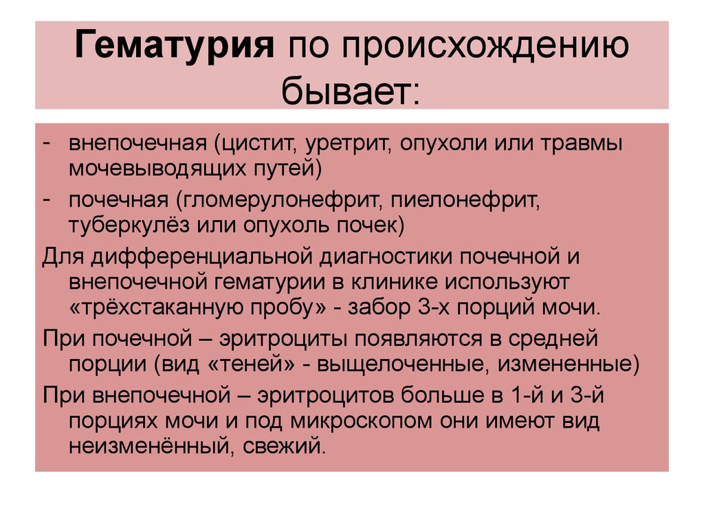 Дифференциальная диагностика при гематурии