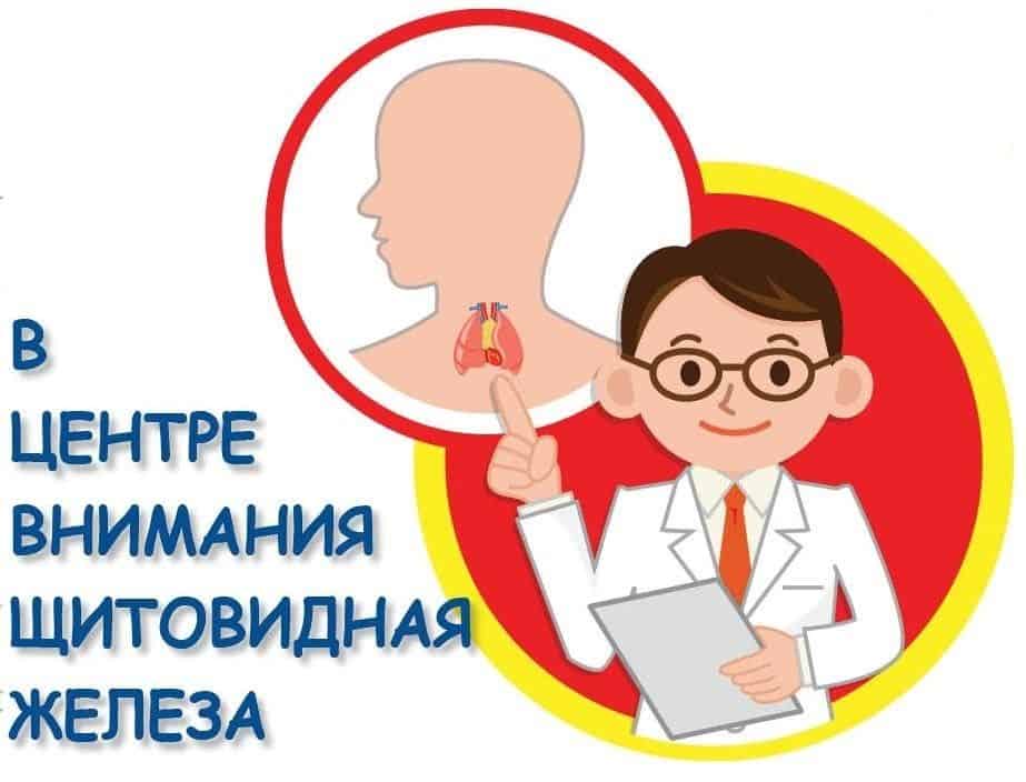 Сердца крайне чувствительно к гормонам щитовидной железы