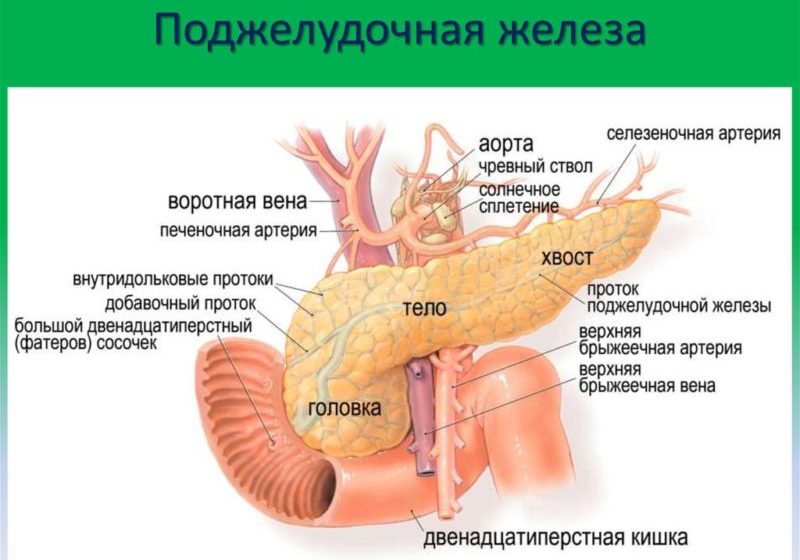 Симптомы болезни поджелудочной железы у женщин