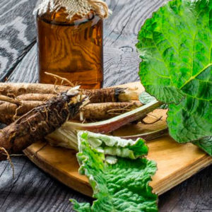 Целительный лопух: применение корня, сока и семян при панкреатите