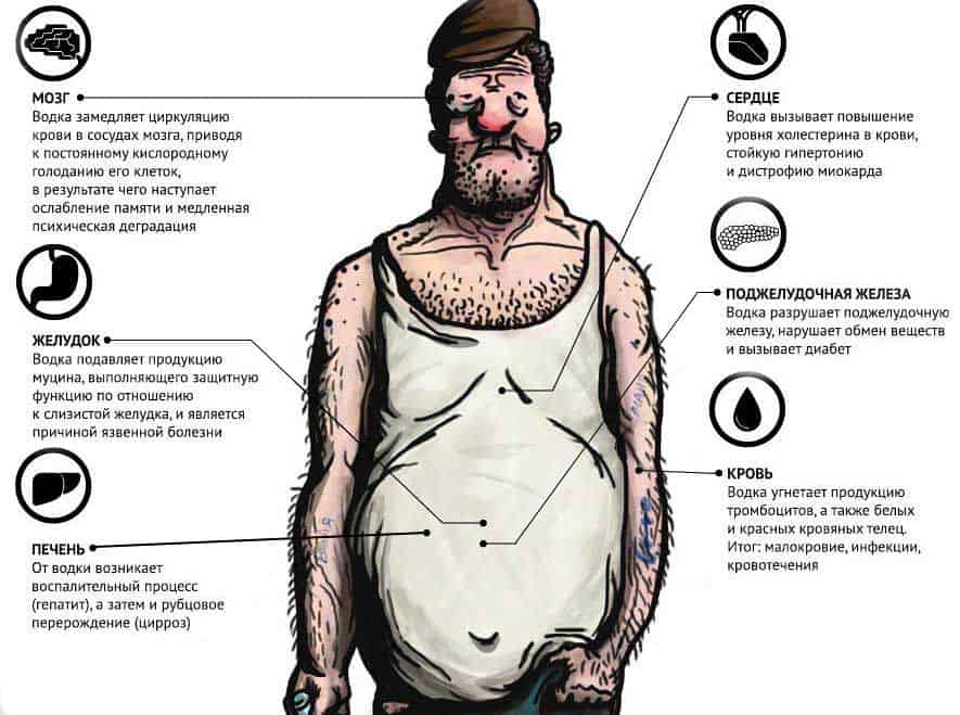 Влияние алкоголя на организм человека
