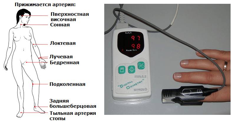 Возможные места пальпации пульса и портативный пульсоксиметр