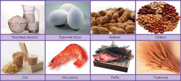 Высокоаллергенные продукты
