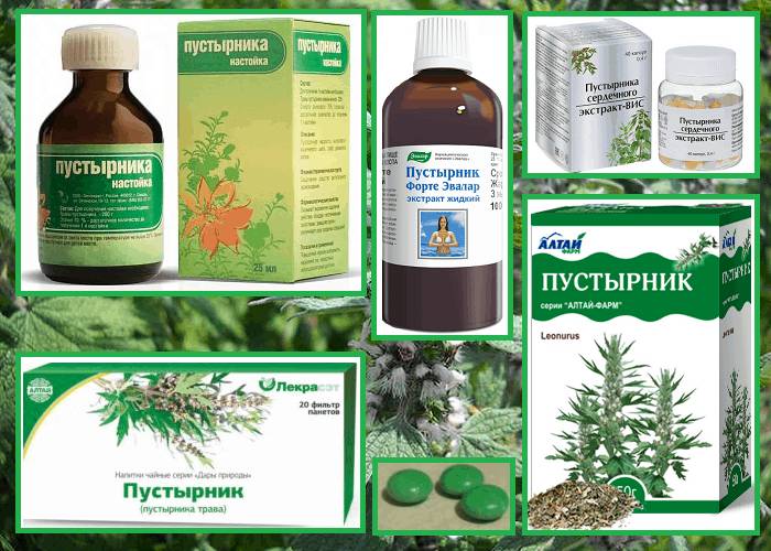 Лекарственные формы выпуска препаратов с пустырником: сухое измельченное сырье, настойка, жидкий экстракт, таблетки, капсулы