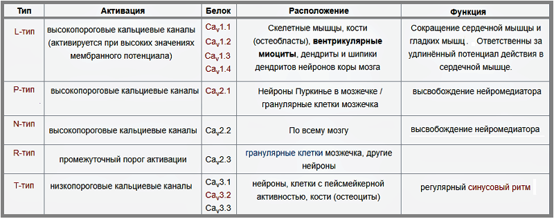Типы кальциевых канальцев