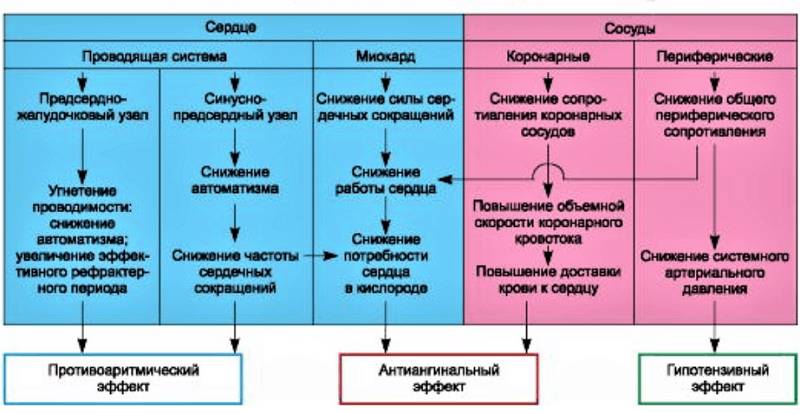Кардиопротекторные воздействия, получаемые от угнетения проникновения ионов Ca внутрь клеток