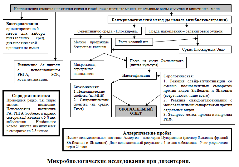 Исследования при дизентерии